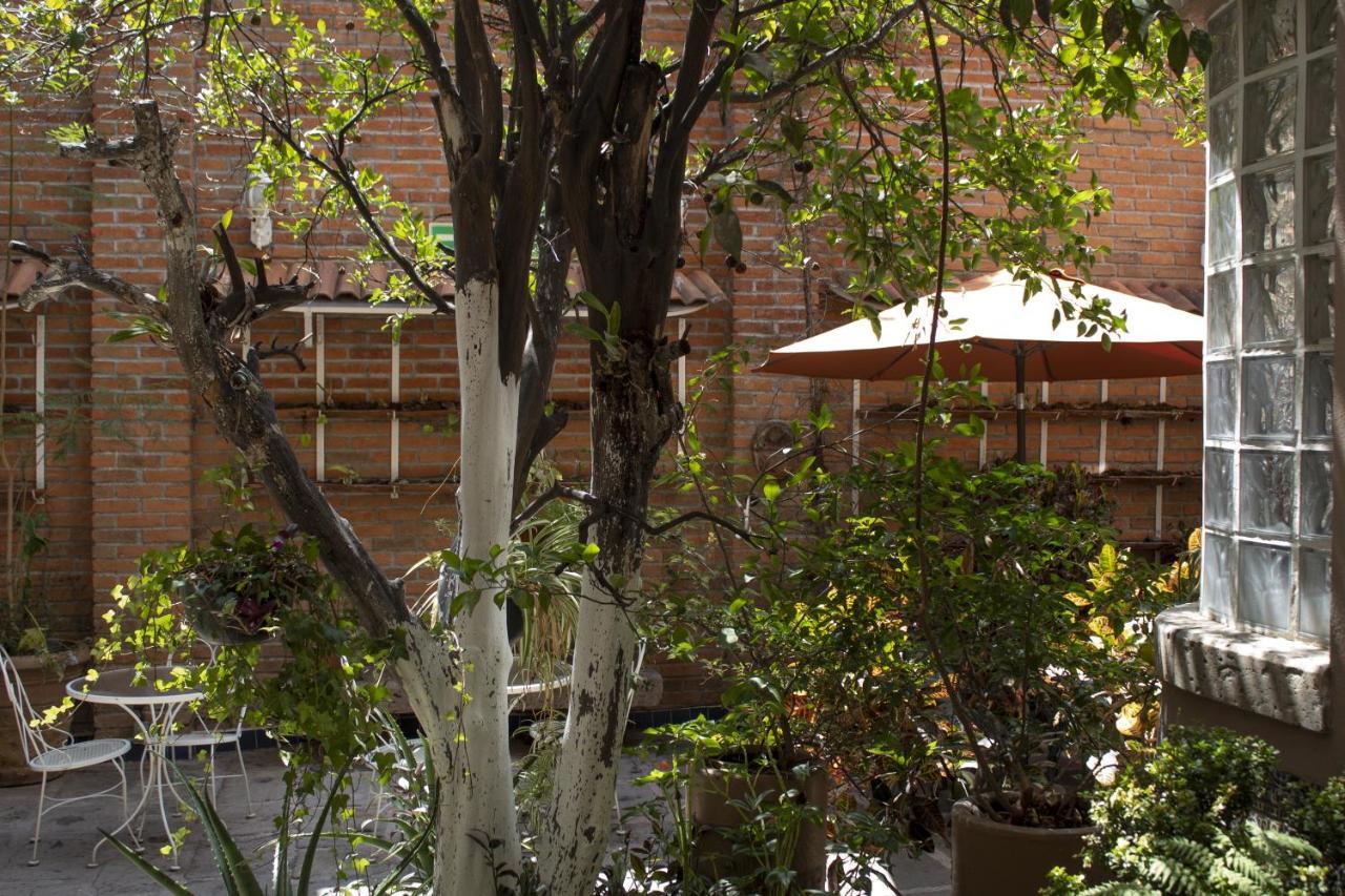 Mansion Mijashe Wellness & Travel House Hotel Morelia Ngoại thất bức ảnh