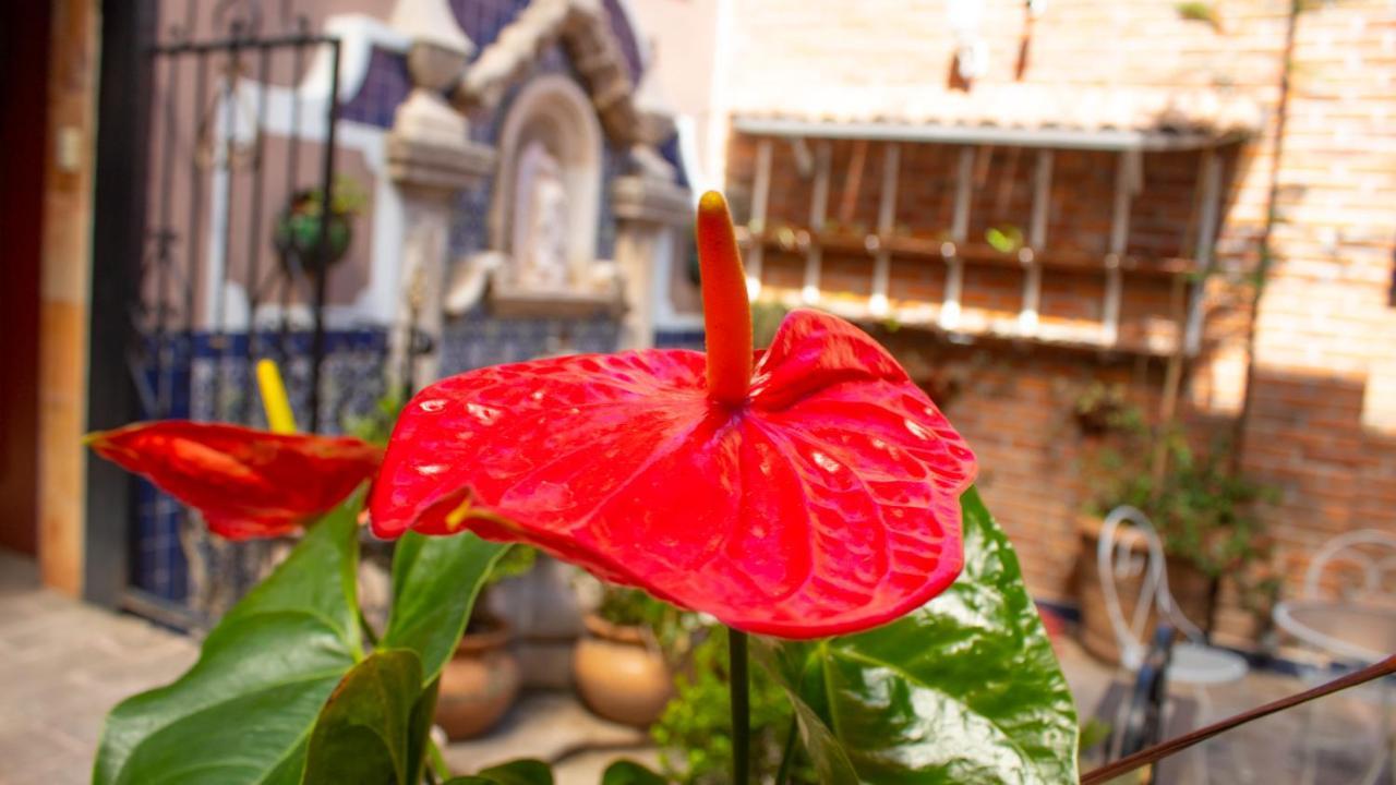 Mansion Mijashe Wellness & Travel House Hotel Morelia Ngoại thất bức ảnh